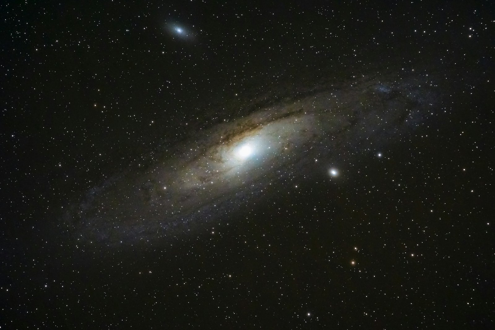Rennt die Wissenschaft auf die Bibel zu? / Ausgabe #8